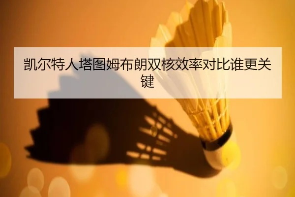 凯尔特人塔图姆布朗双核效率对比谁更关键