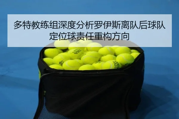 多特教练组深度分析罗伊斯离队后球队定位球责任重构方向 | kaiyun